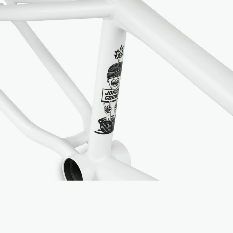 CADRE BMX DOOMSAYER 2022 WETHEPEOPLE MATT WHITE â Image 4